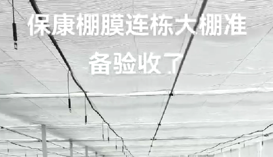 ?？蹬锬みB棟大棚準(zhǔn)備驗(yàn)收